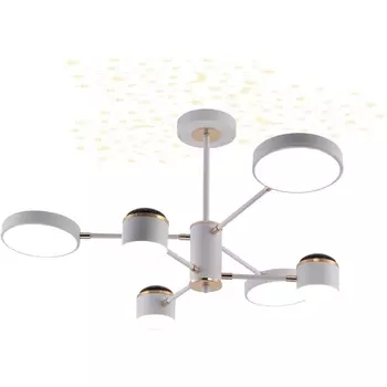 Потолочная люстра на штанге светодиодная звездное небо Escada Interstellar 10255/6LED