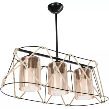 Потолочная люстра на штанге TopLight Charity TL1636H-03BK