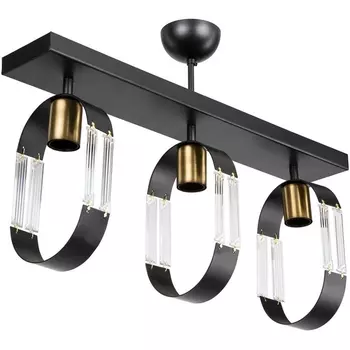 Потолочная люстра на штанге TopLight Matilda TL1643H-03BK