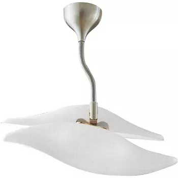 Потолочная люстра на штанге Vistosi Nembo NEMBO PL BС NI