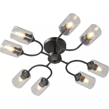 Потолочная люстра на штанге Vitaluce V2822-1/8PL