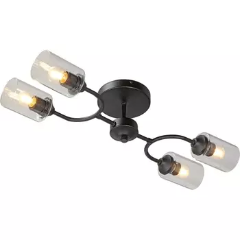 Потолочная люстра на штанге Vitaluce V2822-1/4PL