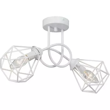 Потолочная люстра на штанге Vitaluce V4930-0/2PL