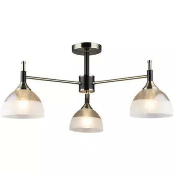 Потолочная люстра на штанге Wedo Light Olis WD3617/3C-AB-BK-WT