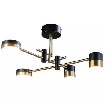 Потолочная люстра на штанге Zortes Lunar ZRS.1805.04