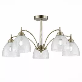 Потолочная люстра Evoluce Nuele SLE104402-05