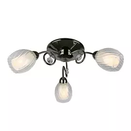 Потолочная люстра OML-31607-03 (Omnilux)