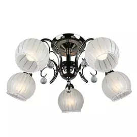 Потолочная люстра OML-31807-05 (Omnilux)