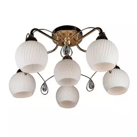 Потолочная люстра OML-31907-06 (Omnilux)