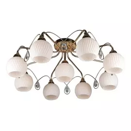 Потолочная люстра OML-31907-09 (Omnilux)