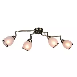 Потолочная люстра OML-35121-04 (Omnilux)