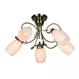 Потолочная люстра OML-37227-05 (Omnilux)