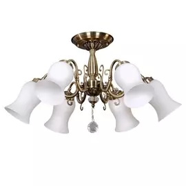 Потолочная люстра OML-46007-06 (Omnilux)