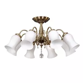 Потолочная люстра OML-46007-08 (Omnilux)