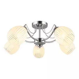 Потолочная люстра OML-65607-05 (Omnilux)