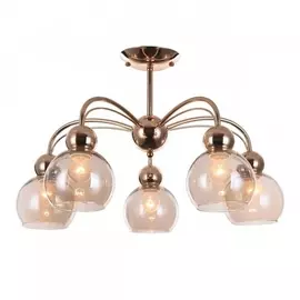 Потолочная люстра OML-66317-05 (Omnilux)