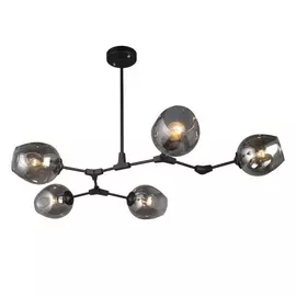 Потолочная люстра OML-93917-05 (Omnilux)