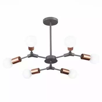 Потолочная люстра молекулы Evoluce Palare SLE106403-06