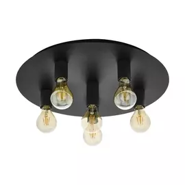 Потолочная люстра Passano 1 98157 (Eglo)