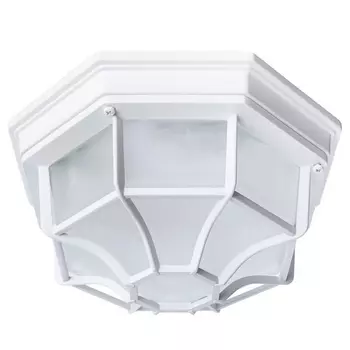 Уличный потолочный светильник Arte Lamp Pegasus A3100PL-1WH