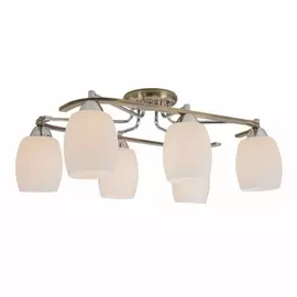 Потолочная люстра Pluton CL170161 (Citilux)