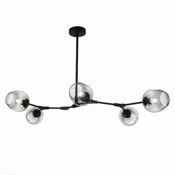 Потолочная люстра Evoluce Rametto SLE154843-05