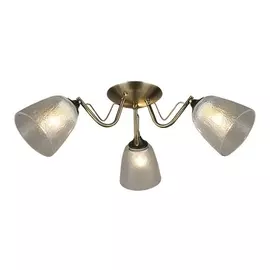 Потолочная люстра Rena 66609.01.37.03 (Wedo Light)