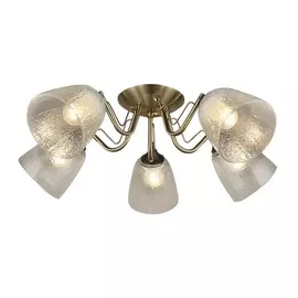 Потолочная люстра Rena 66609.01.37.05 (Wedo Light)