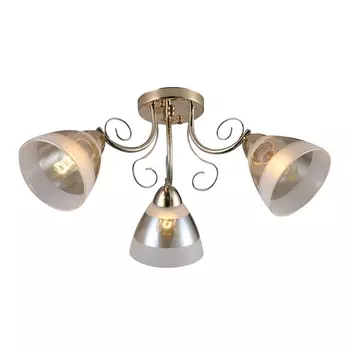 Потолочная люстра Ritter Modena 52545 5