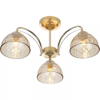 Потолочная люстра Rivoli Terri 9172-303