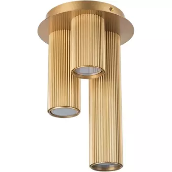 Потолочная люстра Lightstar Roma 718033