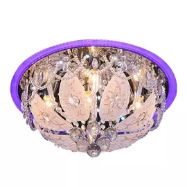 Потолочная люстра с пультом со светодиодной подсветкой и ночным режимом Darius 78946.01.03.05 (Wedo Light)