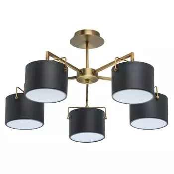 Потолочная люстра 2721010205 MW-Light Сайрус 721010205