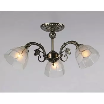 Потолочная люстра SL1N 000024275 (Мелодия Света)