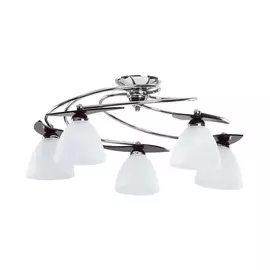 Потолочная люстра Smiglo 14474 (Alfa)