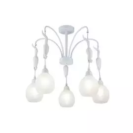 Потолочная люстра Squirrel FR5010PL-05W (Freya)