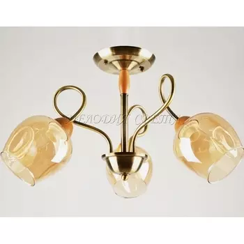 Потолочная люстра Мелодия Света SS1N 000024838