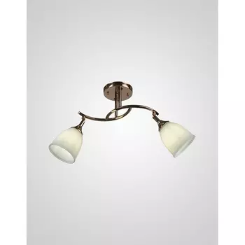 Потолочная люстра Мелодия Света SS1N 000030805