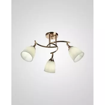 Потолочная люстра Мелодия Света SS1N 000030806