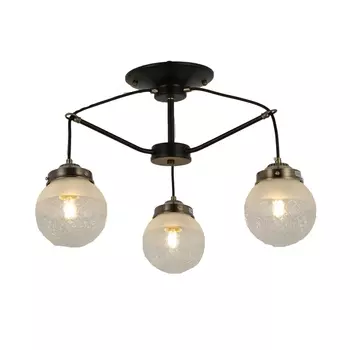 Потолочная люстра молекулы Evoluce Stricce SLE110302-03