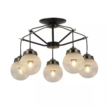 Потолочная люстра Evoluce Stricce SLE110302-05 шарики