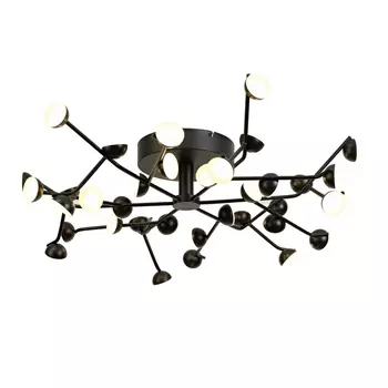 Потолочная люстра светодиодная Mantra Adn 6422