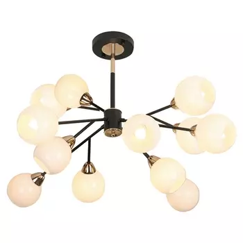 Потолочная люстра светодиодная Lussole Astoria GRLSP-8307