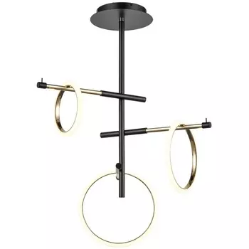 Потолочная люстра светодиодная Vele Luce Bellezza 10038 VL7262L03 кольцо