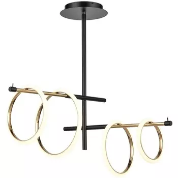 Потолочная люстра светодиодная Vele Luce Bellezza 10038 VL7262L04 кольцо