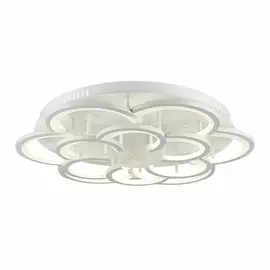 Потолочная люстра светодиодная диммируемаая с пультом Bonn SLE200502-12 (Evoluce)