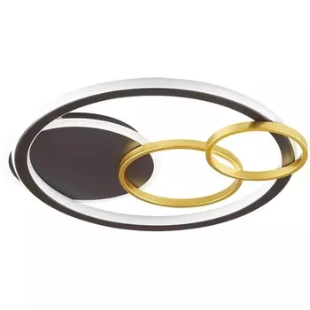 Потолочная люстра светодиодная диммируемая с пультом Lumion Breno 5245/68CL