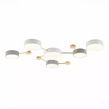 Потолочная люстра светодиодная Evoluce Dossena SLE600102-06