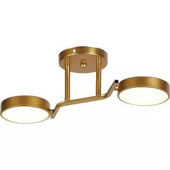 Потолочная люстра светодиодная Escada Starlight 10273/2LED 24Вт, металл/пластик, шампань