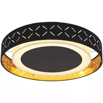 Потолочная люстра светодиодная Globo Clarke 15229D2